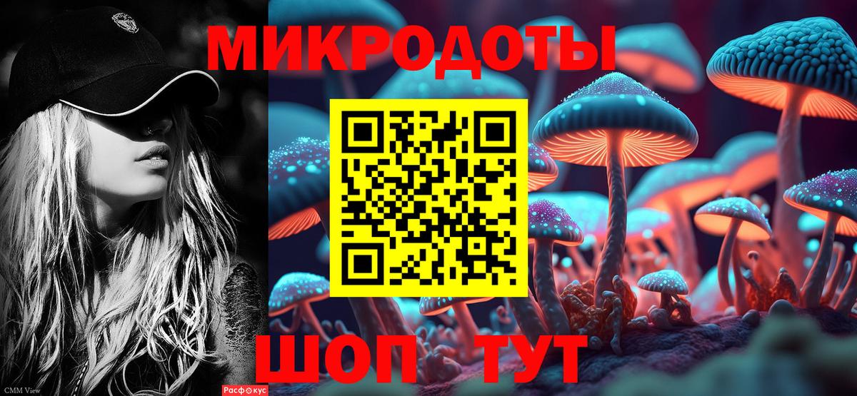 Псилоцибиновые грибы прущие грибы Балашиха